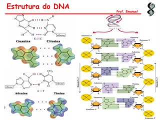 Estrutura do DNA
Prof. Emanuel
 