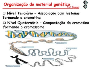  Nível Terciário – Associação com histonas
formando a cromatina
Organização do material genético
 Nível Quaternário – Compactação da cromatina
formando o cromossomo
Prof. Emanuel
 