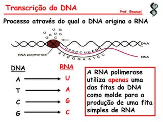 Transcrição do DNA
Processo através do qual o DNA origina o RNA
DNA
A
T
C
G
RNA
U
A
G
C
A RNA polimerase
utiliza apenas uma
das fitas do DNA
como molde para a
produção de uma fita
simples de RNA
Prof. Emanuel
 