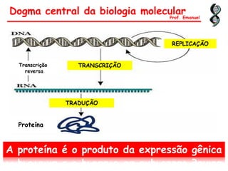 Dogma central da biologia molecular
A proteína é o produto da expressão gênica
TRANSCRIÇÃO
REPLICAÇÃO
TRADUÇÃO
Transcrição
reversa
Prof. Emanuel
Proteína
 