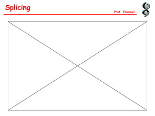 Splicing Prof. Emanuel
 
