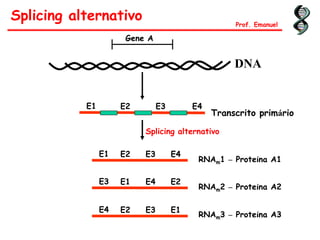 Gene A
E1
Splicing alternativo Prof. Emanuel
DNA
E2 E3 E4
Transcrito primário
E1 E2 E3 E4
RNAm1 – Proteína A1
E3 E1 E4 E2
E4 E2 E3 E1
RNAm2 – Proteína A2
RNAm3 – Proteína A3
Splicing alternativo
 