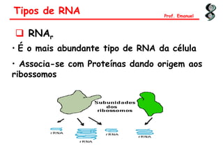  RNAr
• É o mais abundante tipo de RNA da célula
• Associa-se com Proteínas dando origem aos
ribossomos
Tipos de RNA Prof. Emanuel
 