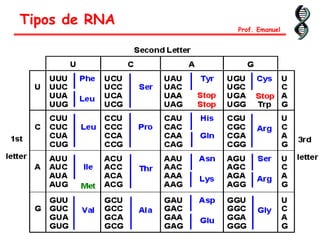 Tipos de RNA
Prof. Emanuel
 