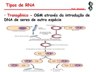 • Transgênico - OGM através da introdução de
DNA de seres de outra espécie
Tipos de RNA
Prof. Emanuel
 