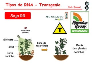 Tipos de RNA - Transgenia Prof. Emanuel
Glifosato
Erva
daninha
Soja
Morte
das plantas
Gene de
resistência
daninhas
Soja RR
 