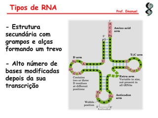 - Estrutura
secundária com
grampos e alças
formando um trevo
- Alto número de
bases modificadas
depois da sua
transcrição
Tipos de RNA Prof. Emanuel
 