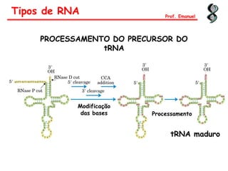 PROCESSAMENTO DO PRECURSOR DO
tRNA
tRNA maduro
Modificação
das bases Processamento
Tipos de RNA Prof. Emanuel
 