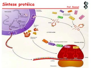 Síntese protéica Prof. Emanuel
 