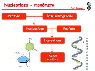 Nucleotídeo - monômero
Prof. Emanuel
Base nitrogenadaPentose
Nucleosídeo Fosfato
Nucleotídeo
Ácido
nucléico
 