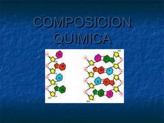 COMPOSICION
  QUIMICA
 