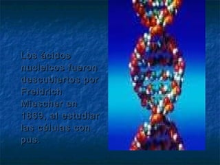 Los ácidos
nucleicos fueron
descubiertos por
Freidrich
Miescher en
1869, al estudiar
las células con
pus.
 