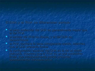 El DNA y el RNA se diferencian porque :

   el peso molecular del DNA es generalmente mayor que
    el del RNA
   el azúcar del RNA es ribosa, y el del DNA es
    desoxirribosa
   el RNA contiene la base nitrogenada uracilo, mientras
    que el DNA presenta timina
   la configuración espacial del DNA es la de un doble
    helicoide, mientras que el RNA es un poli nucleótido
    lineal, que ocasionalmente puede presentar
    apareamientos intracatenarios
 