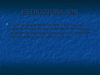 ESTRUCTURA ADN


El ADN se encuentra en los seres vivos como una
molécula de elevado peso molecular. En los oragnismos
superiores el peso molecular es mayor. En cada célula
hay una cadena de ADN de unos 1,7 mm.

 