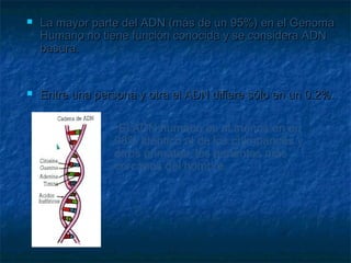 



La mayor parte del ADN (más de un 95%) en el Genoma
Humano no tiene función conocida y se considera ADN
basura.

Entre una persona y otra el ADN difiere sólo en un 0.2%.
•El ADN humano es al menos en un
98% idéntico al de los chimpancés y
otros primates, los parientes más
cercanos del hombre.

 