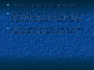 





El ARN se encuentra en la pared de los ribosomas.
Hay varios tipos y cada uno de ellos va a desempeñar
una función diferente en la síntesis de proteicas y
también en la transferencia de información del ADN.
el ARN se sintetiza en el núcleo, como un filamento
complementario a una de las cadenas del ADN.

 