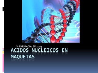 ACIDOS NUCLEICOS EN MAQUETAS IV  FARMACIA  SP 2009 