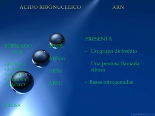  PRESENTA
FORMADO    TIPOS
  POR                 - Un grupo de fosfato
           ARNm
ADENINA               - Una pentosa llamada
GUANINA    ARNr         ribosa
AZUCAR
CITOCINA
URACILO    ARNt       - Bases nitrogenadas



RIBOSA
 