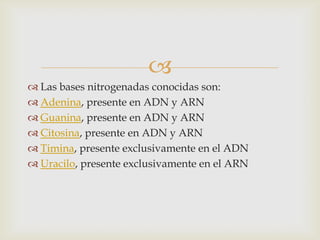 
 Las bases nitrogenadas conocidas son:
 Adenina, presente en ADN y ARN
 Guanina, presente en ADN y ARN
 Citosina, presente en ADN y ARN
 Timina, presente exclusivamente en el ADN
 Uracilo, presente exclusivamente en el ARN
 