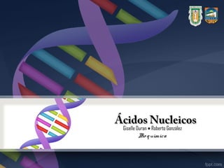 Ácidos Nucleicos
 Giselle Duran • Roberto González
         B q uímica
          io
 