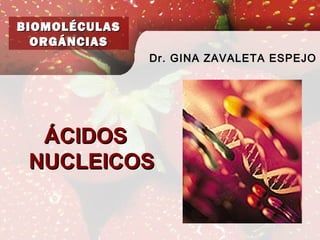 ÁCIDOSÁCIDOS
NUCLEICOSNUCLEICOS
BIOMOLÉCULASBIOMOLÉCULAS
ORGÁNCIASORGÁNCIAS
Dr. GINA ZAVALETA ESPEJO
 