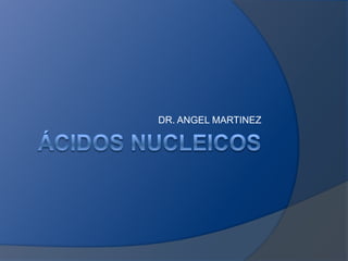 Ácidos nucleicos DR. ANGEL MARTINEZ 