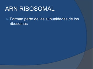 ARN RIBOSOMALForman parte de las subunidades de los ribosomas 