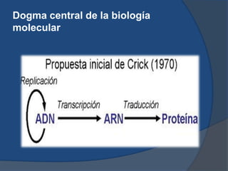 Dogma central de la biología molecular