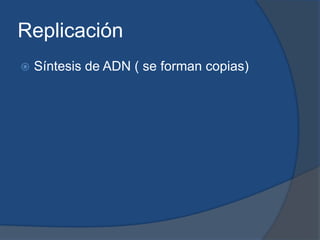 Replicación Síntesis de ADN ( se forman copias)