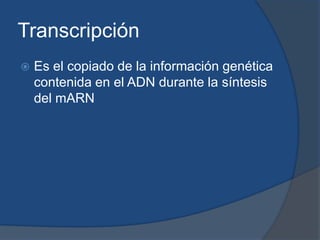 Transcripción Es el copiado de la información genética contenida en el ADN durante la síntesis del mARN