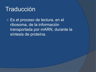 Traducción  Es el proceso de lectura, en el ribosoma, de la información transportada por mARN, durante la síntesis de proteína.