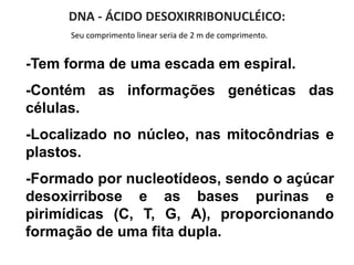 Seu comprimento linear seria de 2 m de comprimento.
DNA - ÁCIDO DESOXIRRIBONUCLÉICO:
-Tem forma de uma escada em espiral.
-Contém as informações genéticas das
células.
-Localizado no núcleo, nas mitocôndrias e
plastos.
-Formado por nucleotídeos, sendo o açúcar
desoxirribose e as bases purinas e
pirimídicas (C, T, G, A), proporcionando
formação de uma fita dupla.
 