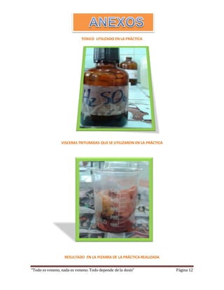 TOXICO UTILIZADO EN LA PRÁCTICA 
VISCERAS TRITURADAS QUE SE UTILIZARON EN LA PRÁCTICA 
RESULTADO EN LA PIZARRA DE LA PRÁCTICA REALIZADA 
“Todo es veneno, nada es veneno. Todo depende de la dosis” Página 12 
 