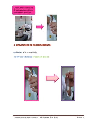 Colocar 25ml de carbonato 
de bario y dejar por 30 min 
y obtenemos la solucion 
Reacción 1: Cloruro de Bario 
Positivo característico: (Precipitado blanco) 
“Todo es veneno, nada es veneno. Todo depende de la dosis” Página 5 
 