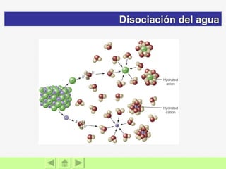 Disociación del agua 