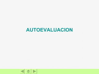 AUTOEVALUACION 