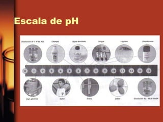 Escala de pH
 