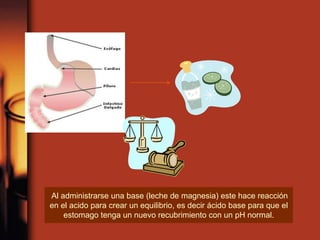 Al administrarse una base (leche de magnesia) este hace reacción
en el acido para crear un equilibrio, es decir ácido base para que el
estomago tenga un nuevo recubrimiento con un pH normal.
 