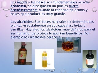Los ácidos y las bases son fundamentales para la
economía, se dice que en un país es fuerte
económicamente cuando la cantidad de ácidos y
bases que produce es muy grande.
Los alcaloides: Son bases naturales en determinadas
plantas especialmente en sus capsulas, hojas o
semillas. Hay algunos alcaloides muy dañinos para el
ser humano, pero otros le aportan beneficios. Por
ejemplo los alcaloides opiáceos.
 