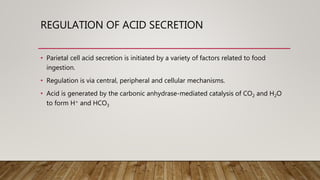 REGULATION OF ACID SECRETION
• Parietal cell acid secretion is initiated by a variety of factors related to food
ingestion.
• Regulation is via central, peripheral and cellular mechanisms.
• Acid is generated by the carbonic anhydrase-mediated catalysis of CO2 and H2O
to form H+ and HCO3
 