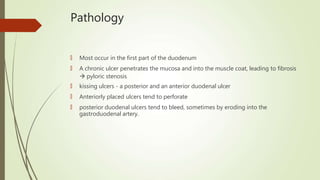 Pathology
🠶 Most occur in the first part of the duodenum
🠶 A chronic ulcer penetrates the mucosa and into the muscle coat, leading to fibrosis
 pyloric stenosis
🠶 kissing ulcers - a posterior and an anterior duodenal ulcer
🠶 Anteriorly placed ulcers tend to perforate
🠶 posterior duodenal ulcers tend to bleed, sometimes by eroding into the
gastroduodenal artery.
 