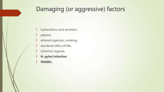 Damaging (or aggressive) factors
🠶 hydrochloric acid secretion,
🠶 pepsins,
🠶 ethanol ingestion, smoking,
🠶 duodenal reflux of bile,
🠶 ischemia, hypoxia,
🠶 H. pylori infection.
🠶 NSAIDs.
 