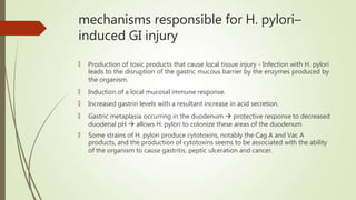 mechanisms responsible for H. pylori–
induced GI injury
🠶 Production of toxic products that cause local tissue injury - Infection with H. pylori
leads to the disruption of the gastric mucous barrier by the enzymes produced by
the organism.
🠶 Induction of a local mucosal immune response.
🠶 Increased gastrin levels with a resultant increase in acid secretion.
🠶 Gastric metaplasia occurring in the duodenum  protective response to decreased
duodenal pH  allows H. pylori to colonize these areas of the duodenum
🠶 Some strains of H. pylori produce cytotoxins, notably the Cag A and Vac A
products, and the production of cytotoxins seems to be associated with the ability
of the organism to cause gastritis, peptic ulceration and cancer.
 