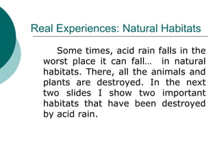 Real Experiences: Natural Habitats Some times, acid rain falls in the worst place it can fall…  in natural habitats. There, all the animals and plants are destroyed. In the next two slides I show two important habitats that have been destroyed by acid rain. 