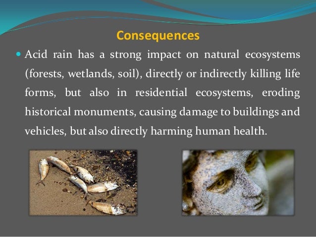 how acid rain forms and its effects on humans and the environment Other acid rain essays acid rain and land but one of the serious side effects of acid rain on human is one of its many forms acid rain can also harm. how acid rain forms and its effects on humans and the environment Other acid rain essays acid rain and land but one of the serious side effects of acid rain on human is one of its many forms acid rain can also harm.