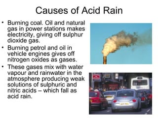 Causes of Acid Rain
• Burning coal. Oil and natural
gas in power stations makes
electricity, giving off sulphur
dioxide gas.
• Burning petrol and oil in
vehicle engines gives off
nitrogen oxides as gases.
• These gases mix with water
vapour and rainwater in the
atmosphere producing weak
solutions of sulphuric and
nitric acids – which fall as
acid rain.
 