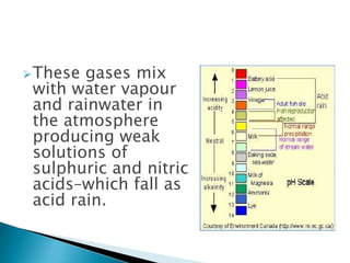  These

gases mix
with water vapour
and rainwater in
the atmosphere
producing weak
solutions of
sulphuric and nitric
acids–which fall as
acid rain.

 