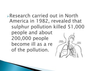 Research

carried out in North
America in 1982, revealed that
sulphur pollution killed 51,000
people and about
200,000 people
become ill as a result
of the pollution.

 