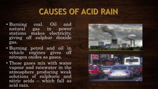 • Burning coal. Oil and
natural gas in power
stations makes electricity,
giving off sulphur dioxide
gas.
• Burning petrol and oil in
vehicle engines gives off
nitrogen oxides as gases.
• These gases mix with water
vapour and rainwater in the
atmosphere producing weak
solutions of sulphuric and
nitric acids – which fall as
acid rain.
 