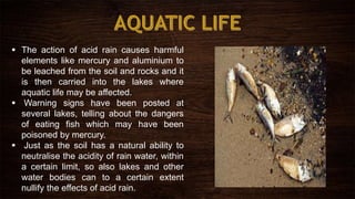  The action of acid rain causes harmful
elements like mercury and aluminium to
be leached from the soil and rocks and it
is then carried into the lakes where
aquatic life may be affected.
 Warning signs have been posted at
several lakes, telling about the dangers
of eating fish which may have been
poisoned by mercury.
 Just as the soil has a natural ability to
neutralise the acidity of rain water, within
a certain limit, so also lakes and other
water bodies can to a certain extent
nullify the effects of acid rain.
 